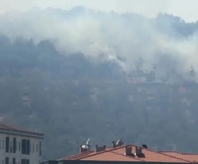 Kazdağları eteklerindeki yangın Zeytinli Mahallesi yönüne çevrildi