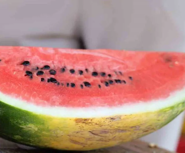 Kırşehir'de yükselen sıcaklar karpuz ve kavuna talebi artırdı