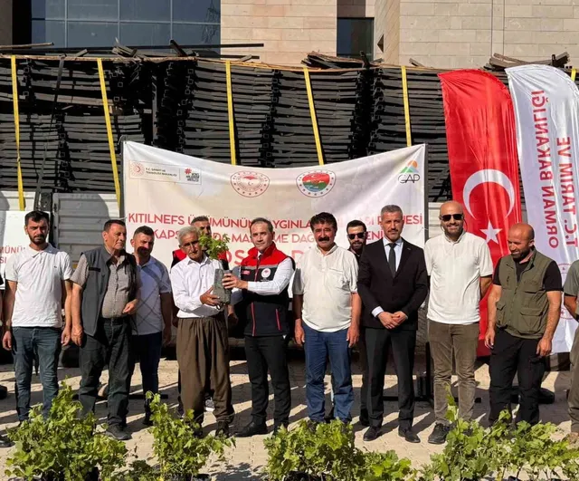 Kıtılnefs üzümünde üretimi artırmaya yönelik ekipman ve fidan desteği
