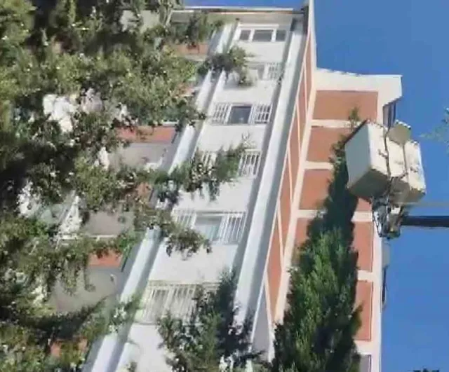 Komşuların çağrısıyla itfaiye Esentepe'de yavru kediyi çam ağacından indirdi