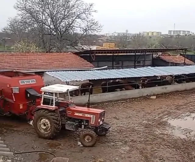 Komşusuyla iki gün aradı, hayvanların satıldığını öğrendi