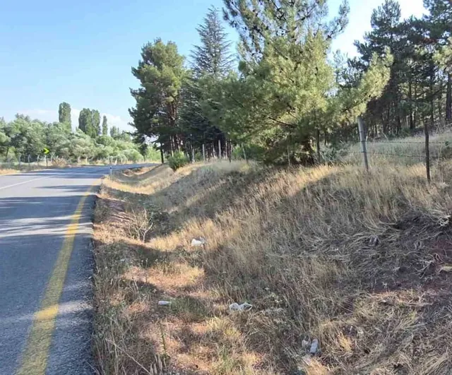 Mahalle muhtarından uyarı: grup yolunda kuruyan otlar yangın tehlikesi yaratıyor