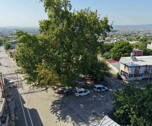 Mahallenin serin noktası: Gebeli'de 260 yıllık çınarın gölgesi