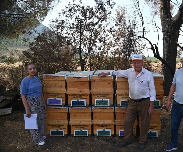 Manisa Büyükşehir Belediyesi arıcıya yeniden üretim desteği sundu