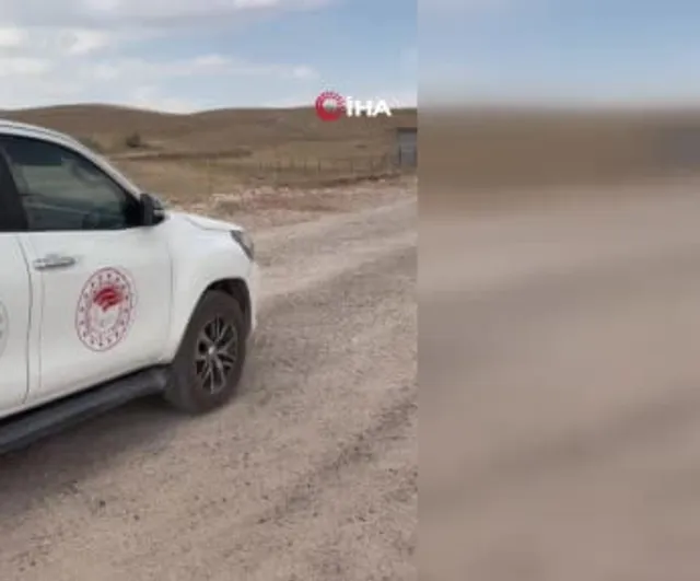 Mardin'in doğasına geri dönen oklu kirpi sağlıkla salındı