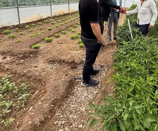 Milletvekili Ateş Eko-Köy'de dolu hasarını yerinde değerlendirdi
