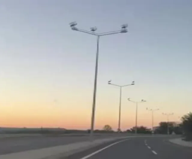 Muratlı'da direkleri mesken tutan leyleklerin renkli akşamları