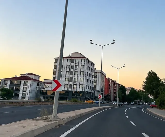 Muratlı'da göç molası: leyleklerin direklerde oluşturduğu manzara