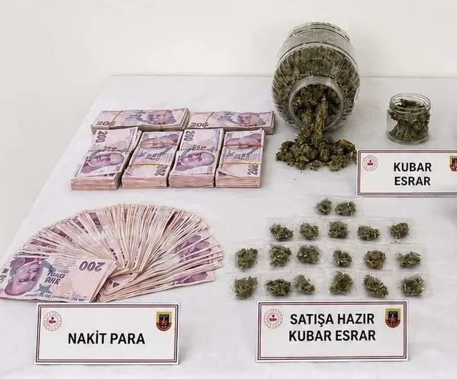 Nazilli'de aracında ve ikametinde çok sayıda esrar ele geçirilen iki şüpheli tutuklandı