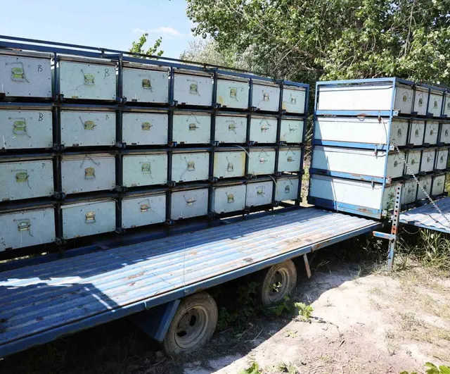 NÖHÜ'de kampüs arıcılığı büyüyor: 200'ün üzerinde kovandan 3 tona yakın bal