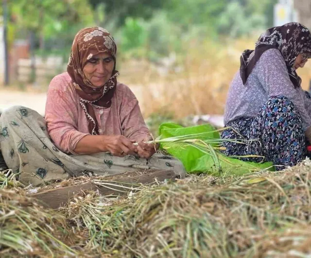 Pırasanın Bandırma rotası: kırsalda üretim mesaisi sürüyor