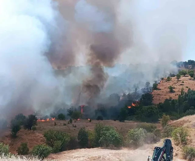 Pütürge'de hızlı müdahale ile yangın büyümeden kontrol altına alındı