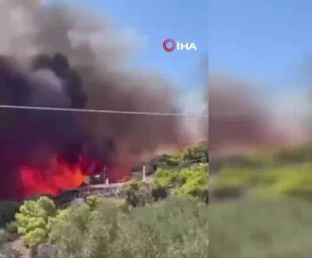 Salamina adasında yangın can aldı: yaşlı çift yaşamını yitirdi, yüzlerce kişi tahliye edildi