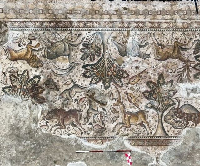 Salkaya’da mozaikten hamama uzanan kazılara Eti Bakır desteği