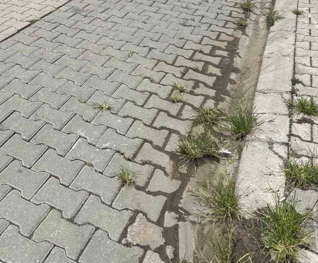 Samsun'da yalnız yaşamının izleri: 70 yaşındaki Hüseyin Çapkın evinde ölü bulundu