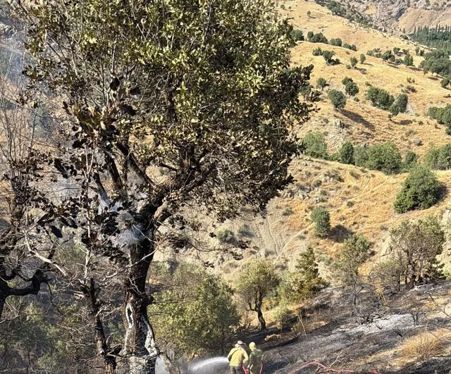 Sason'da orman yangını yerleşim yerlerine ulaşmadan söndürüldü