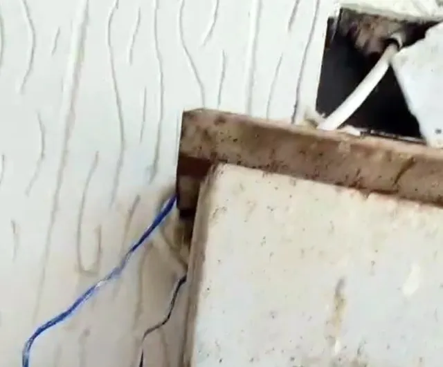 Sayaca müdahale eden kadın denetimi sekteye uğrattı