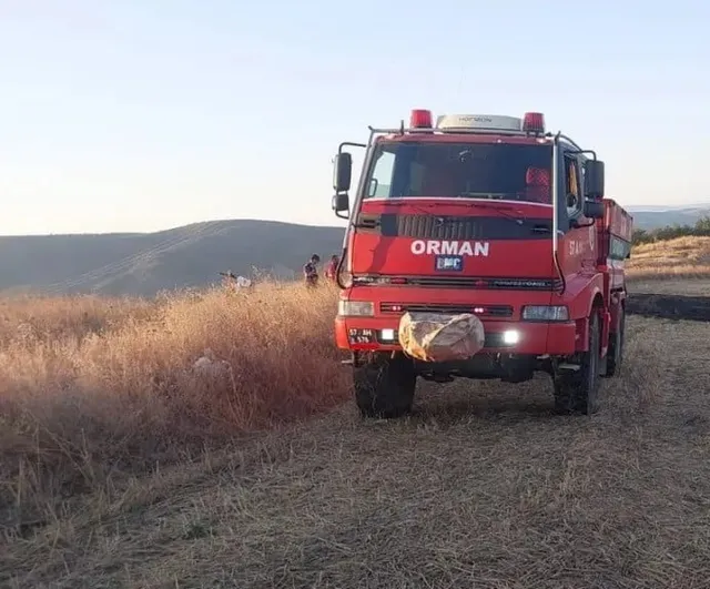 Sinop'ta rüzgarla büyüme eğilimi gösteren anız yangını ekipleri alarma geçirdi