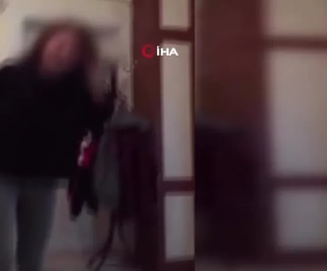 Sosyal medyada yeniden gündem olan kaplumbağa görüntüleri sonrası şüpheli gözaltında