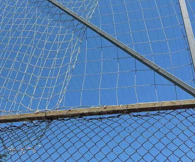 Susurluk itfaiyesi sahada mahsur kalan kargayı kurtardı