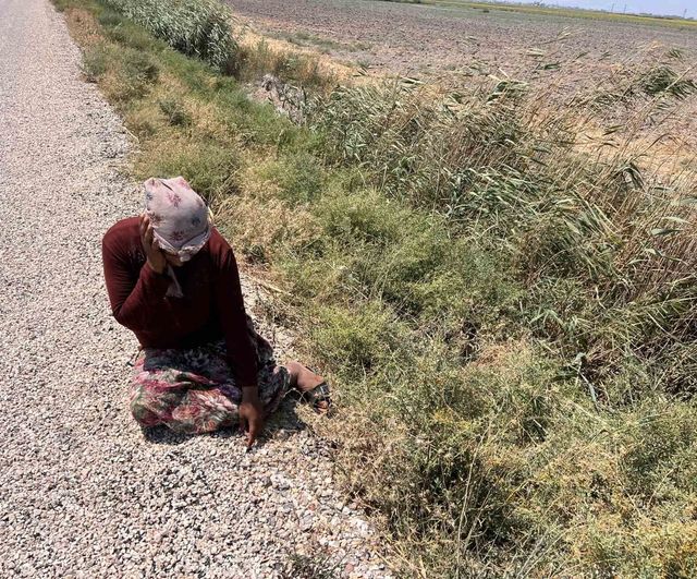 Tek gelir kaynağı süt olan kadının hayvanları peş peşe telef oldu