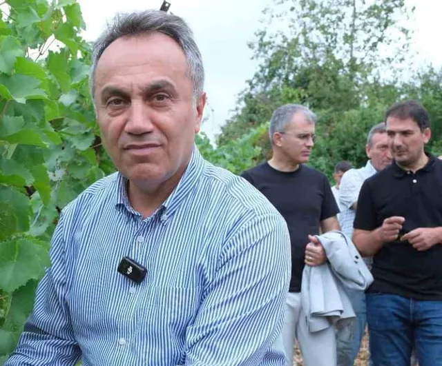 TOGÜ'de yerli üzümler için sezon başlangıcı