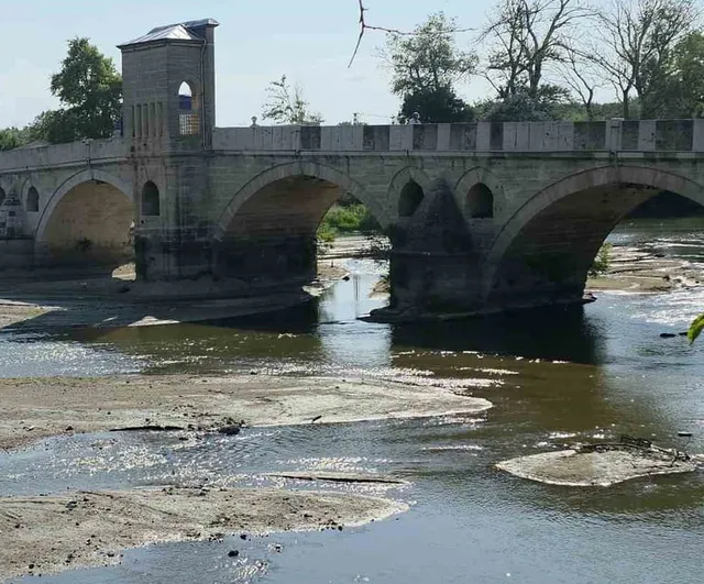 Tunca'da su çekildi: kum adacıkları kuşların yeni dinlenme noktası oldu
