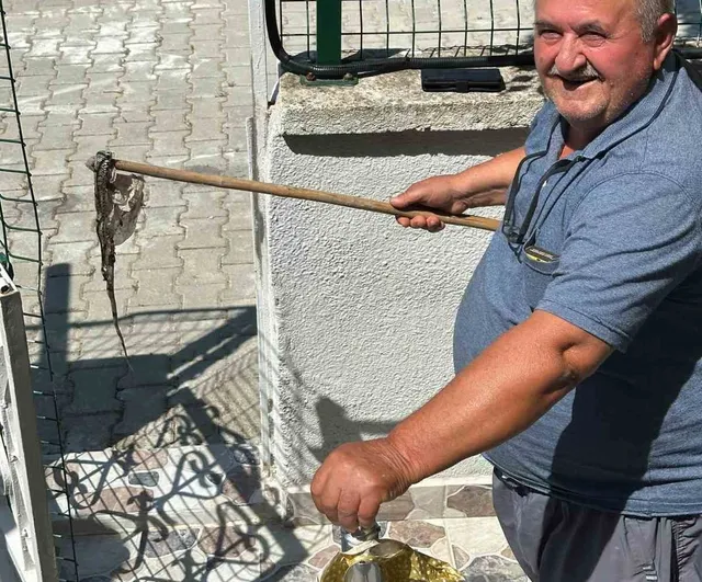 Yakamoz sitesinde yılan tedirginliği: çocuklar dışarı çıkamıyor