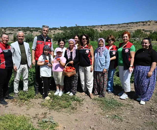 Yamanlar topraklarında domatesin geleceği konuşuldu