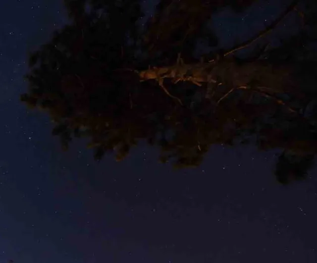 Yaylada gece nöbeti: Düzce'de Perseid meteor yağmuru fotoğrafçıları bir araya getirdi