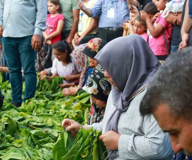Yayladağı'nda aba güreşi ağalığını Binali Yıldırım üstlendi