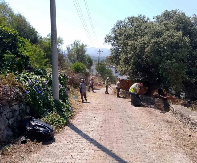 Yaz sezonunda Bodrum genelinde kapsamlı ot temizliği