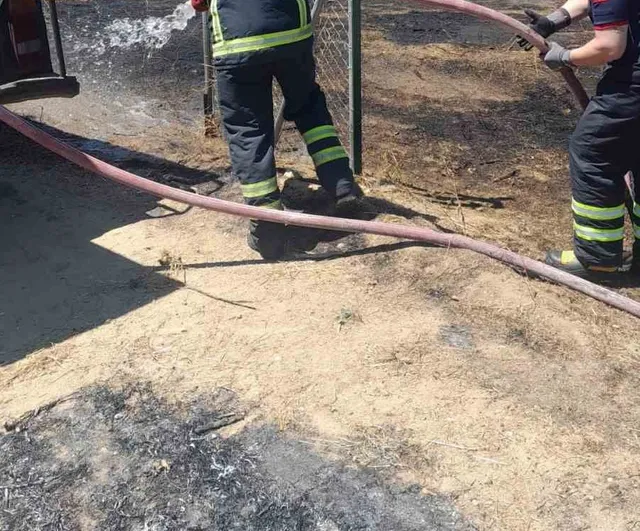 Yeniköy'de otluk yangını itfaiyenin müdahalesiyle ormana sıçramadan söndürüldü