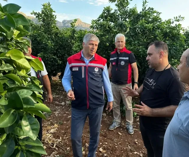 Adana'da dolu sonrası üreticiler tespit ve destek bekliyor