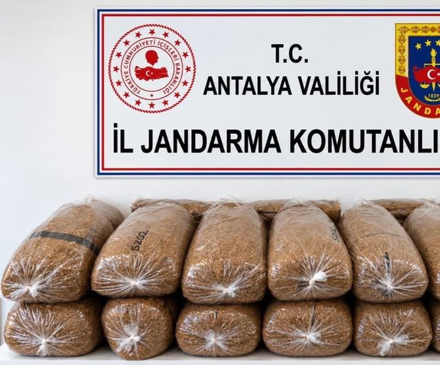 Alanya'da kolilerde gizlenen 144 kilo kıyılmış tütün ortaya çıkarıldı
