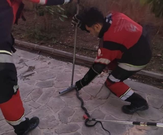 Antakya ve Reyhanlı'da sokaklarda görülen yılanlar itfaiyenin müdahalesiyle doğaya döndü