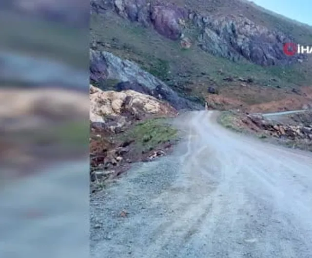 At sırtında üç günlük keşif: Cilo ve Sat'ın yüksek rotaları