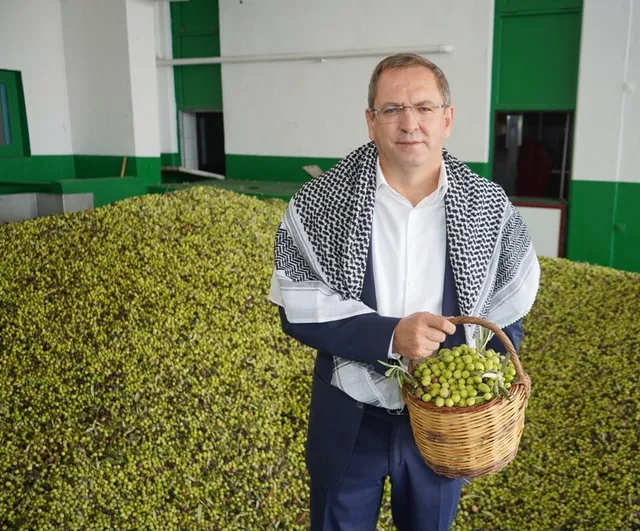 Ayvalık zeytin hasadıyla cumhuriyet coşkusunu festivalde buluşturuyor
