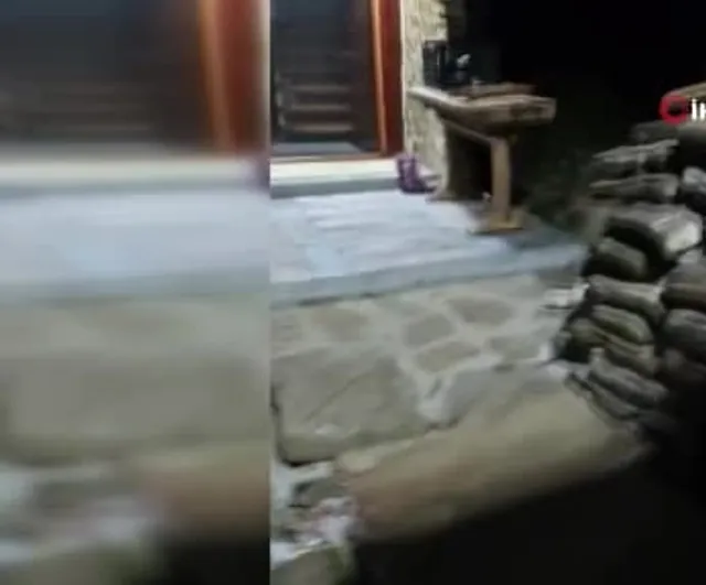 Bahçedeki tilkiyle kurulan beklenmedik dostluk