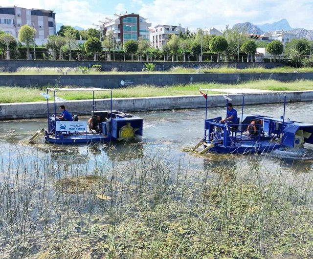 boğaçayı tartışmasında uzmanlar: sazlık kirlilik değil, yaşam alanı