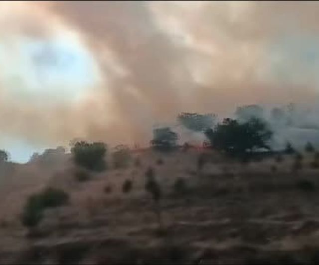 Bozüyük'te Hamidiye ormanındaki yangın kontrol altına alındı