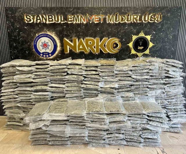 Büyük operasyon Beykoz'da: 409 kilo skunk ele geçirildi