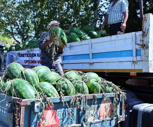 Büyükşehir hamlesi: tarlada kalan karpuzlar sofralara ulaştı