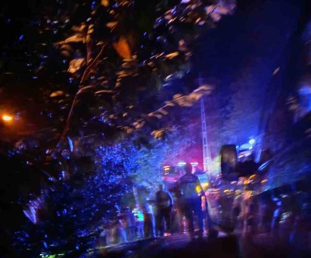 Çayeli Yavuzlar köyünde park etmek isteyen araç uçuruma kaydı: iki ölü