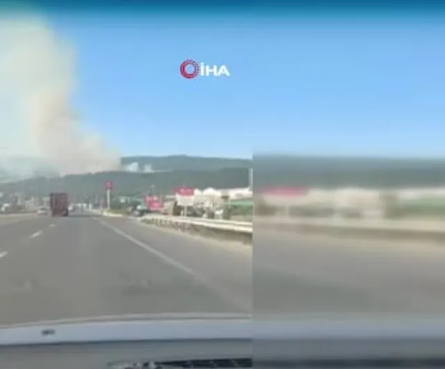 Çöplükte başlayan yangın rüzgarla büyüyerek Hamidiye meşeliklerini tehdit etti