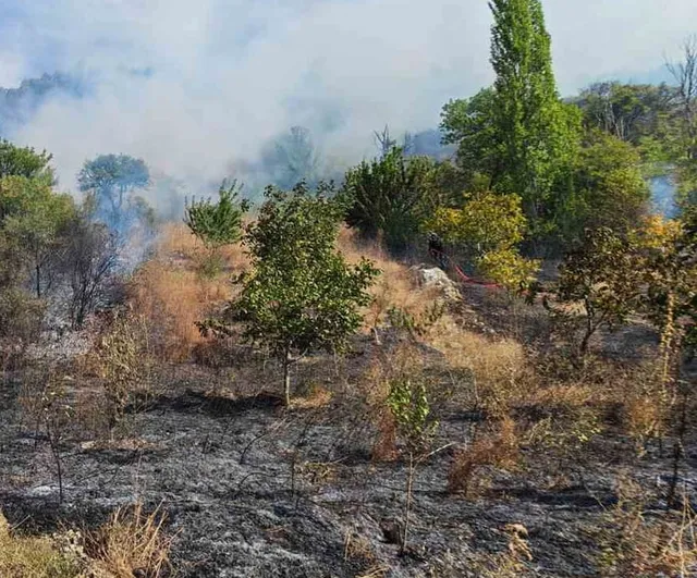 Demirci'de yol kenarından başlayan yangın ormana sıçradı, ekipler bir saatte kontrol sağladı