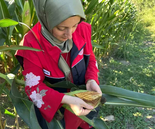 Düzce tarımında ürün gelişimi ve riskler saha denetimiyle izleniyor