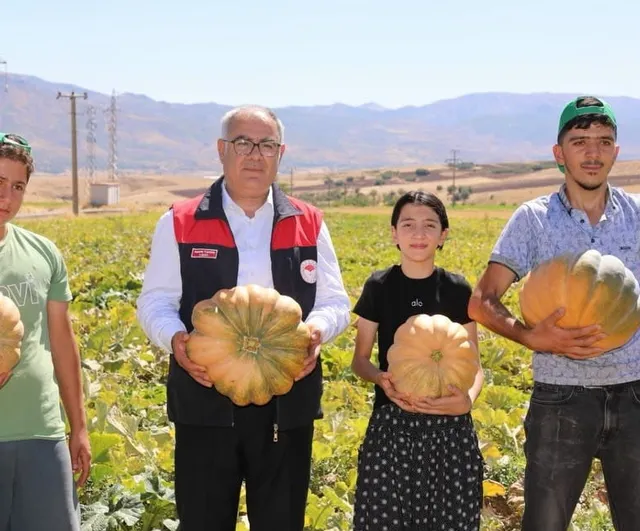 Elazığ tarlalarında kabak bereketi: 2026'da rekolte artışı hedefleniyor