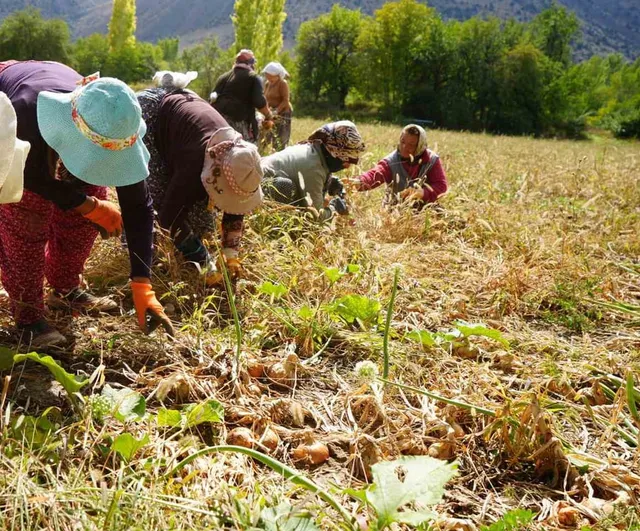 Erzincan'da tarıma 169,6 milyonluk hibe ile 38 proje hayata geçiyor