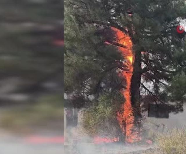 Feke'de Tenkerli Mahallesi'nde orman yangını, helikopterle müdahale sürüyor